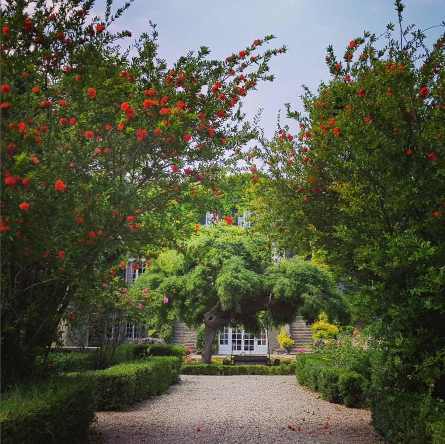 Chateau De Floure - Spa Et Piscine Exterieure Chauffee Carcassonne Dış mekan fotoğraf
